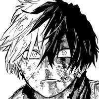 Shoto Todoroki