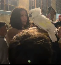 2hollis and rommulas