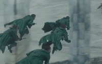 Draco M