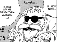Master Roshi 
