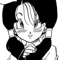 Videl