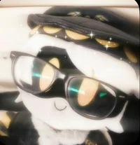 SD-N