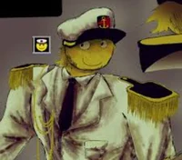 - CAPTAIN SWEEPER