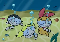 PPG Underwater