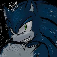 SONIC T WEREHOG 