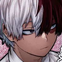 Shoto Todoroki 