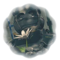 - Никто Version -