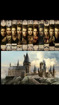 Hogwarts x TVD