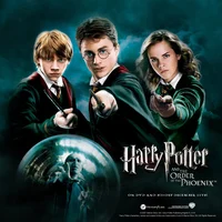 Order of the Phoenix