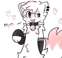 Sakira-Furry Femboy