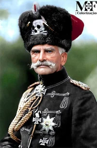 Herr Feldmarshal