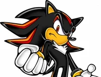 Shadow The Hedgehog