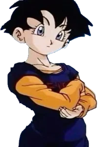 Videl Satan