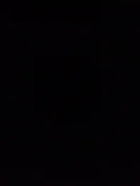 Zombie Apocalypse Rp