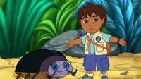 Diego