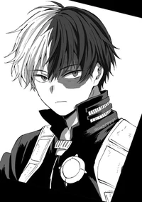Shoto Todoroki 