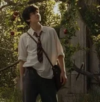 Edmund Pevensie
