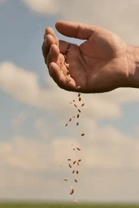 7 Haymitch Abernathy