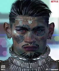 Jibaro
