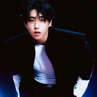 Han Jisung 
