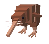 Un kiwi