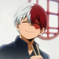 MHA Shoto Todoroki