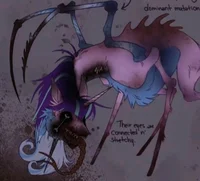 The red widow effect