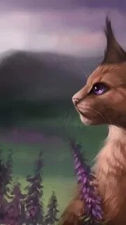 Верескоглазка