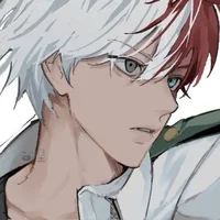 Shoto Todoroki