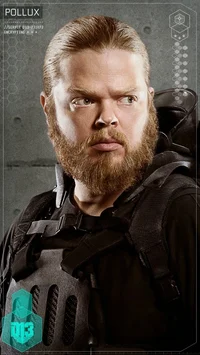 Pollux- Mockingjay