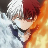 Shoto Todoroki