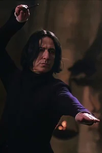 Snape - Soulmate