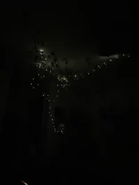 Ghosty