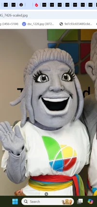 Vesta Mascot