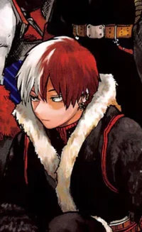 Shoto Todoroki
