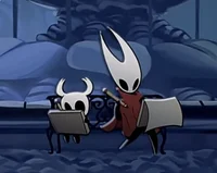 Hollow knight