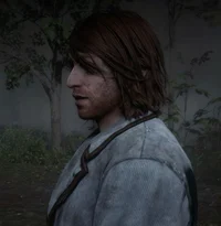 SEAN MACGUIRE - RDR2