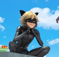 Cat Noir