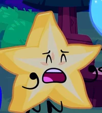 STARFRUIT