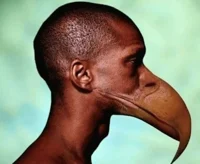 Monarch of Oil Ziddy