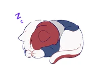 Cat Todoroki