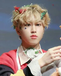 Han Jisung-doll