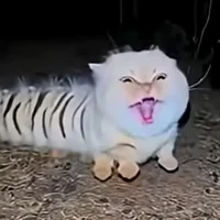 Catterpillar