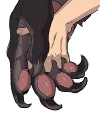 Adrian Wolfe - Owner