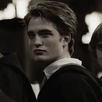 Cedric Amos Diggory 