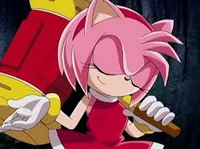 Amy Rose-Anime