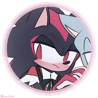 SHADOW T HEDGEHOG 