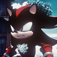 SHADOW THE HEDGEHOG 