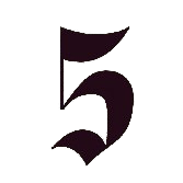 05  DIVIDER