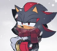 Shadow The Hedgehog